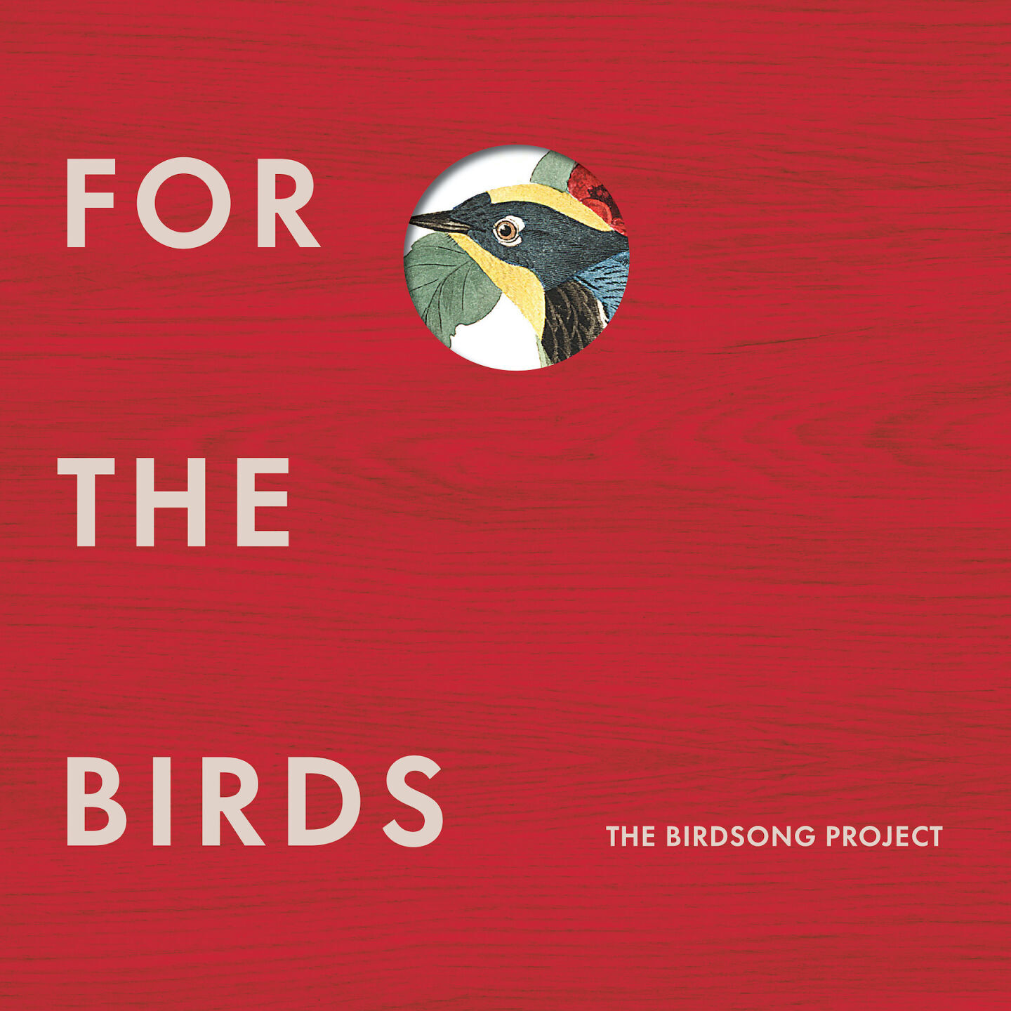 Birds, part two